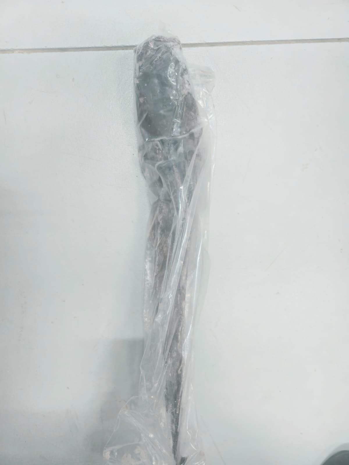 CatFish (Whole with head) Frozen — Small