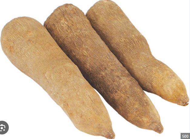 Yam (Fresh) New Yam — 25LB Box